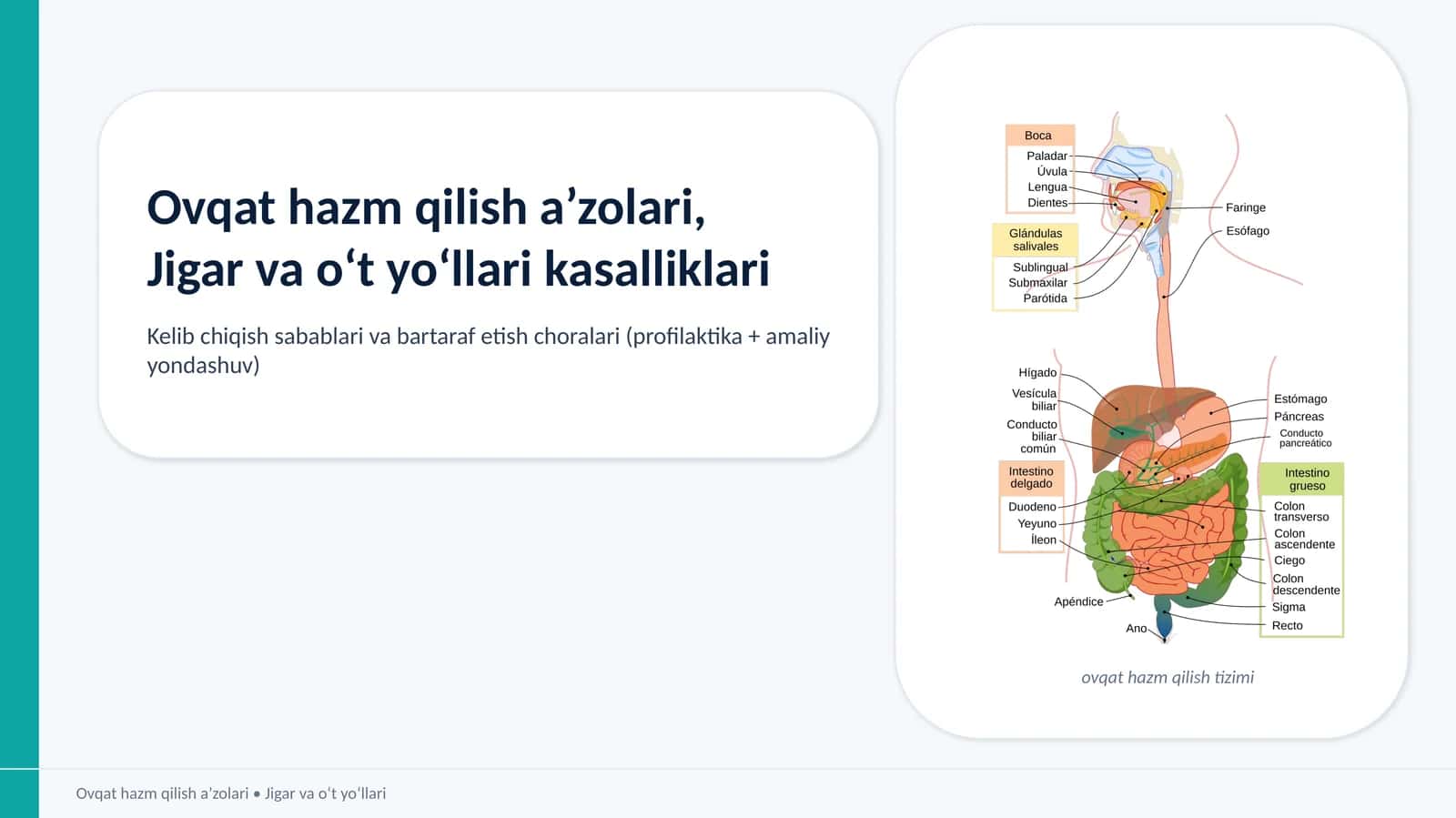 Ovqat hazm qilish a’zolari, Jigar va o‘t yo‘llari kasalliklari 1