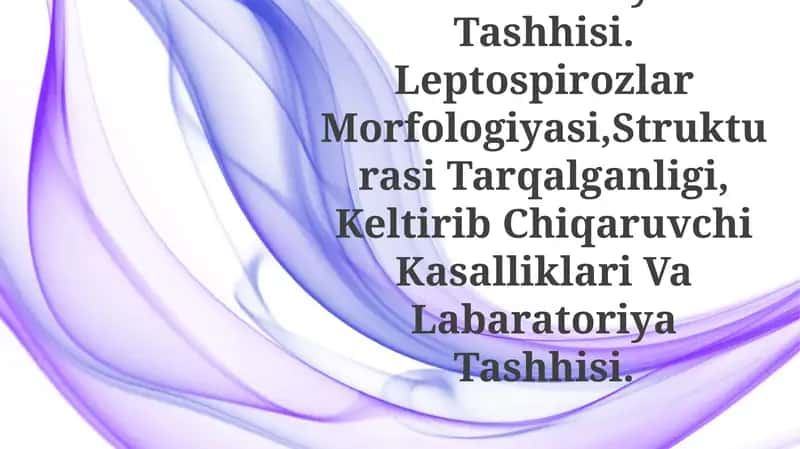 Leptospirozlar Morfologiyasi, tuzilishi 1