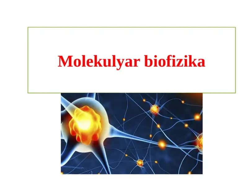 Molekulyarbiofizika 1