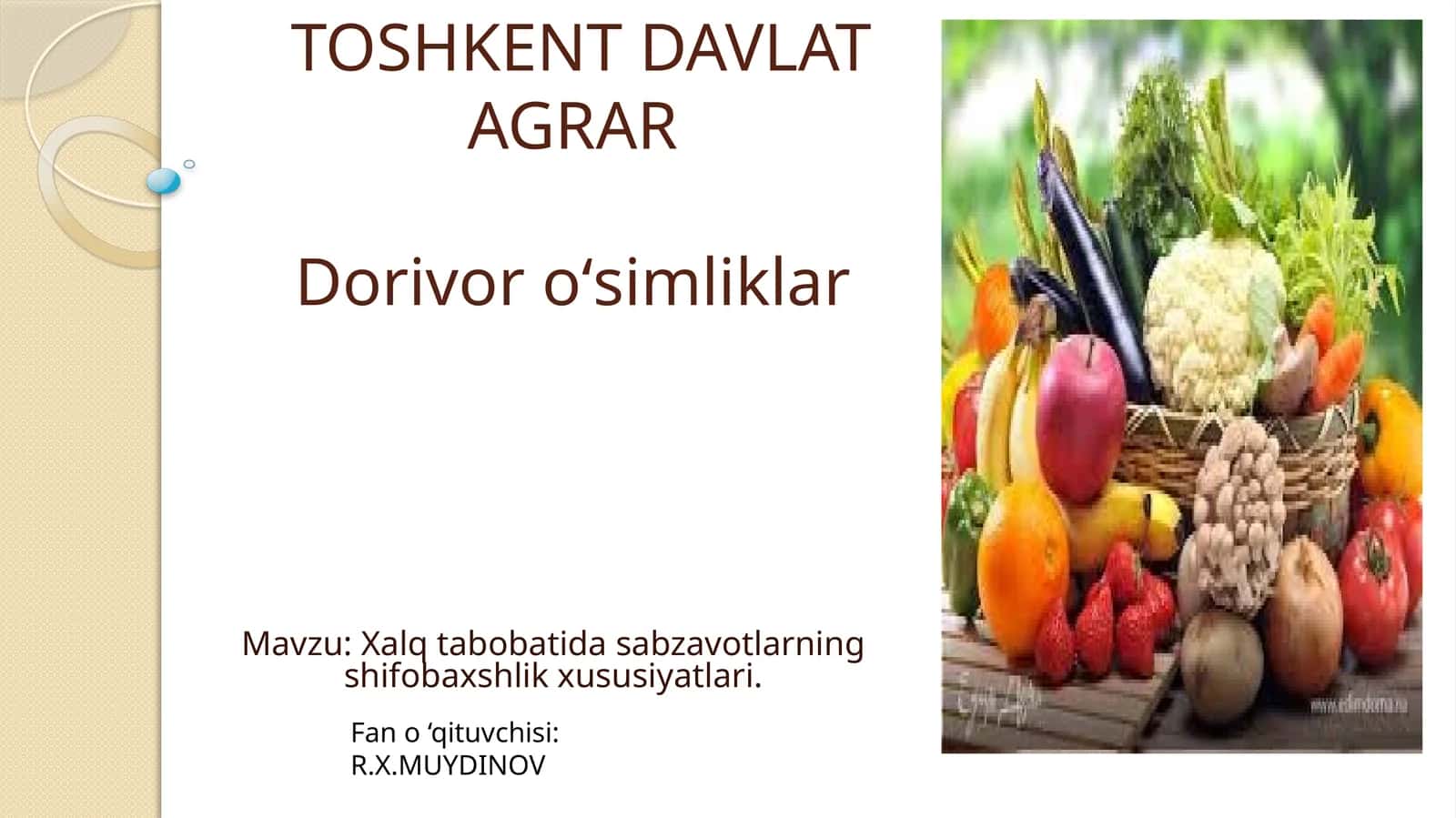 Xalq tabobatida sabzavotlarning shifobaxshlik xususiyatlari 1