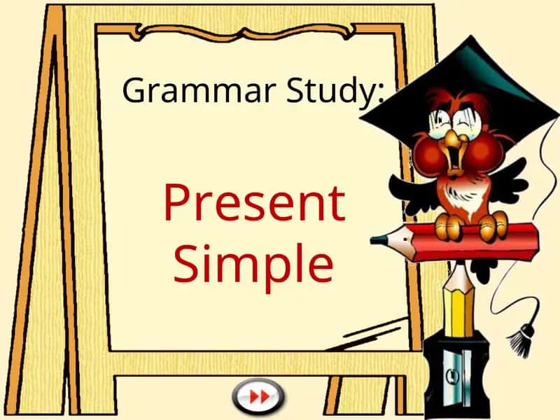 Present Simple Grammar Study 1