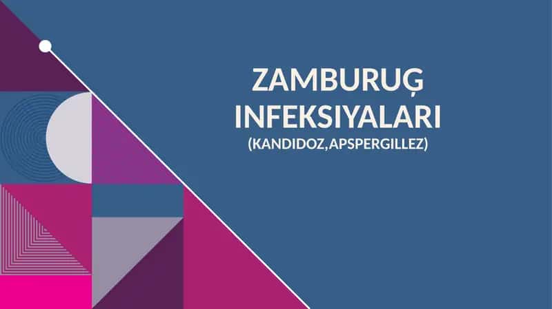 Zamburuģ infeksiyalari (kandidoz,apspergillez) 1