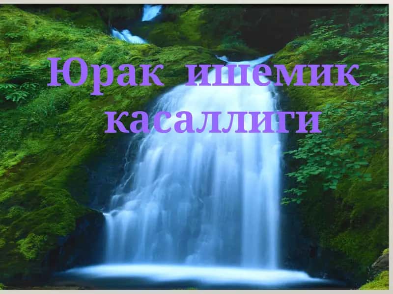 Юрак ишемик касаллиги (Ю.И.К) 1