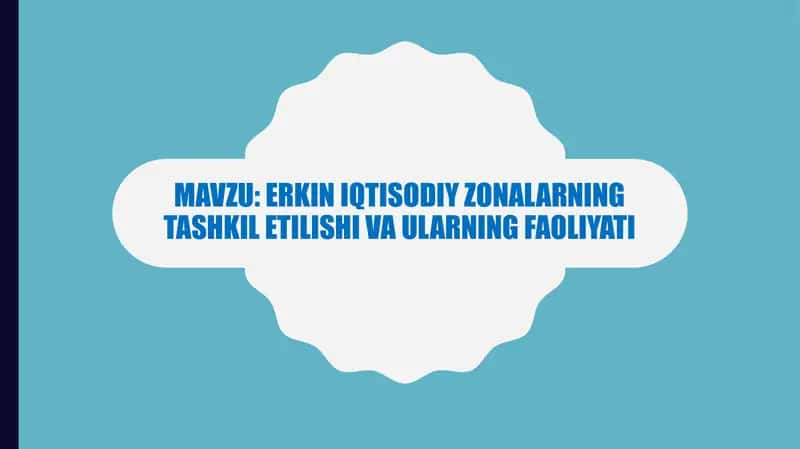 Erkin iqtisodiy zonalarning tashkil etilishi va ularning faoliyati 1