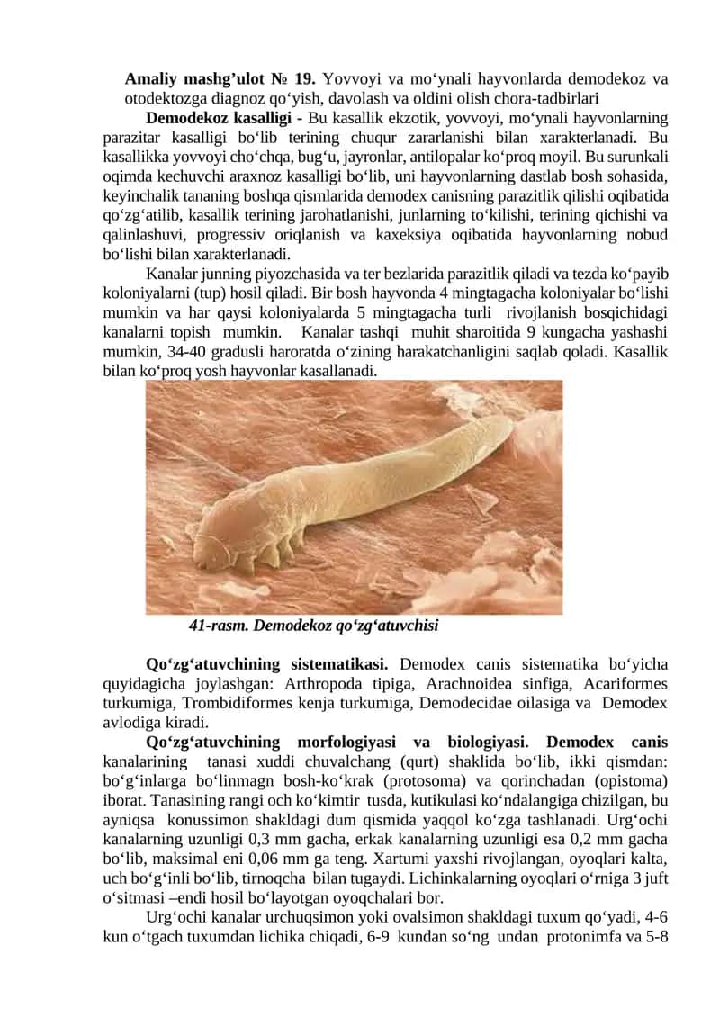 Amaliy mashg’ulot № 19. Yovvoyi va mo‘ynali hayvonlarda demodekoz va otodektozga diagnoz qo‘yish, davolash va oldini olish chora-tadbirlari 1