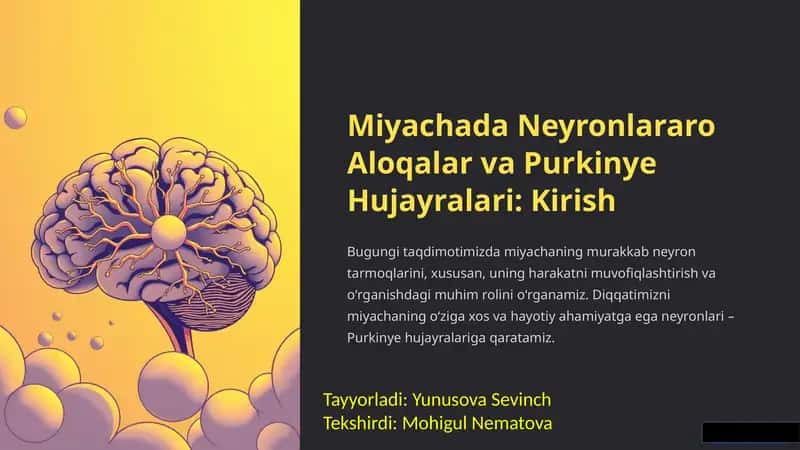 Miyachada Neyronlararo Aloqalar va Purkinye Hujayralari: Kirish 1