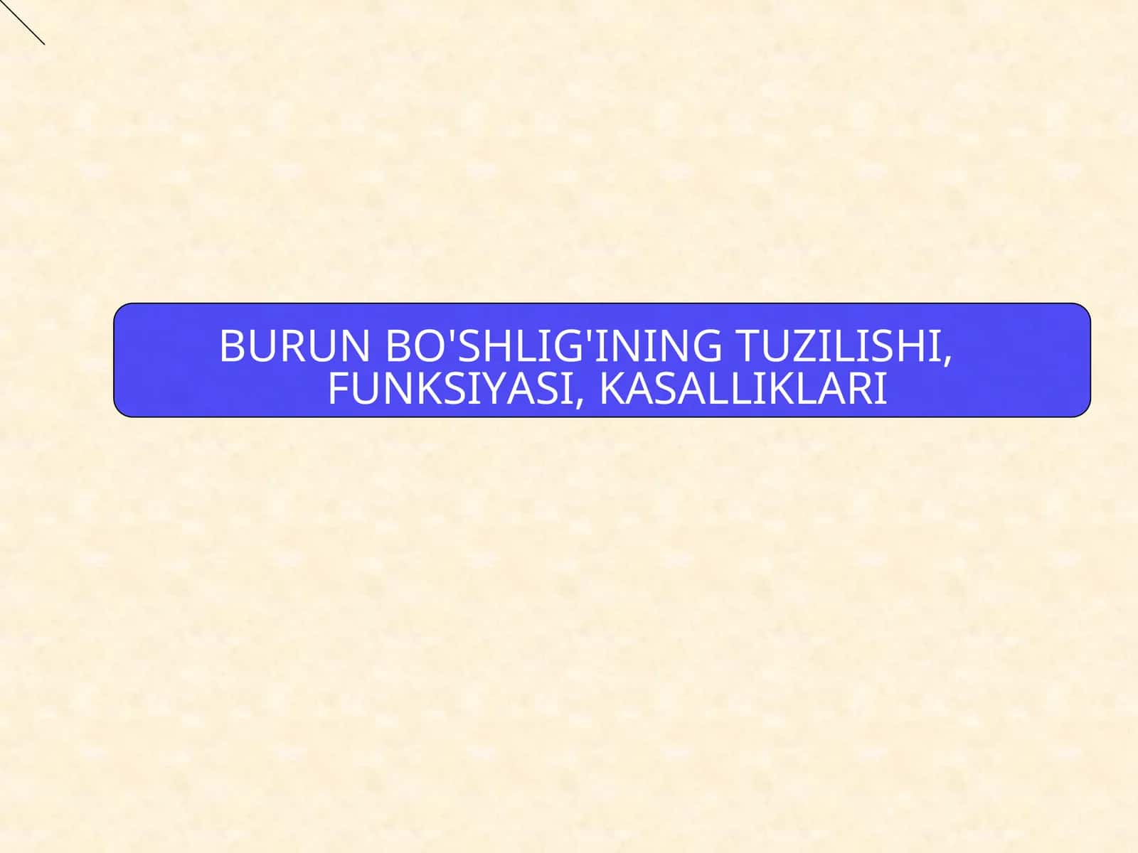 BURUN BO'SHLIG'INING TUZILISHI, FUNKSIYASI, KASALLIKLARI 1