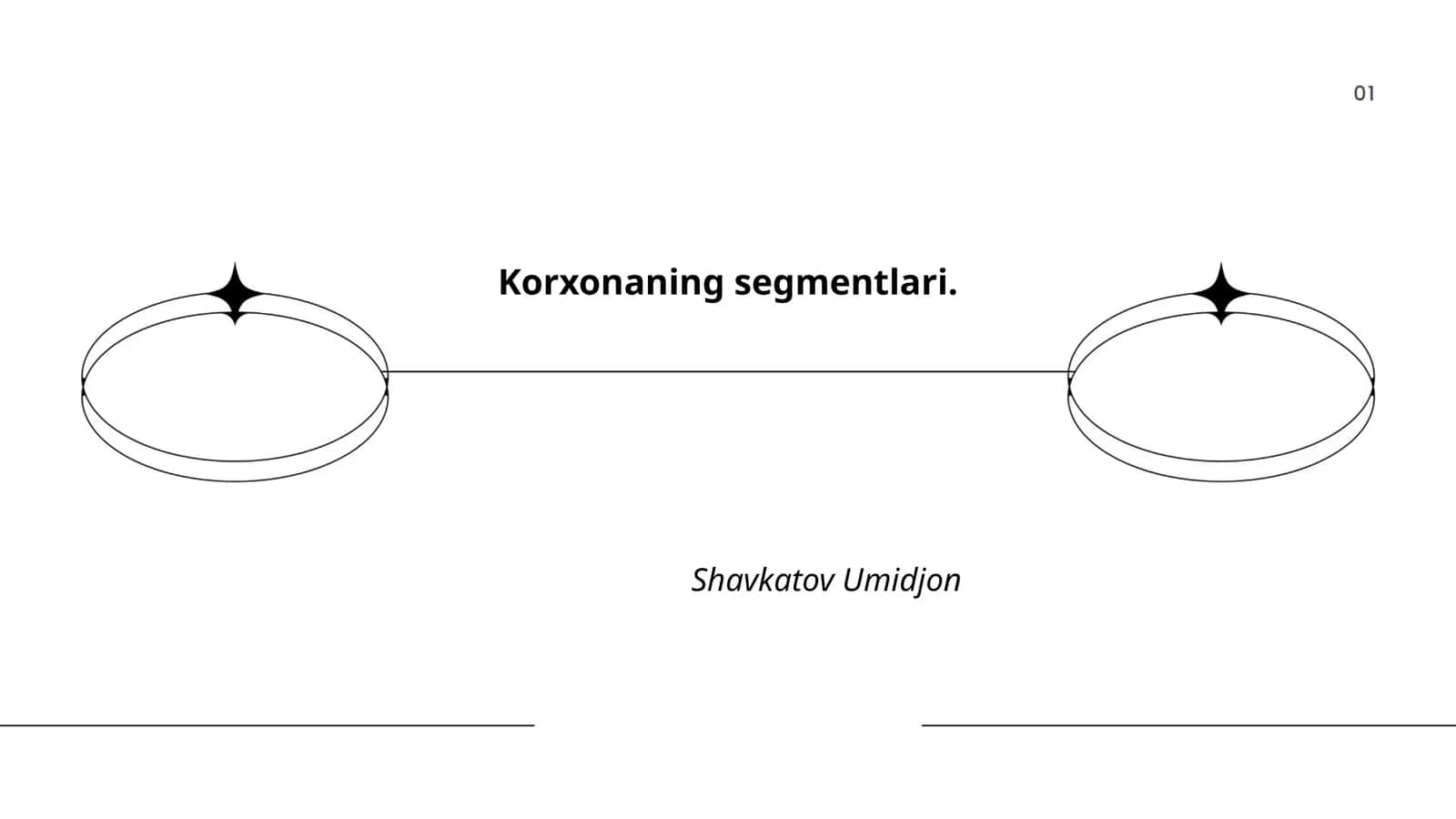 Korxonaning segmentlari 1
