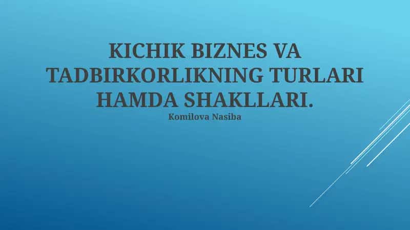 Kichik biznes va tadbirkorlikning turlari va shakllari 1