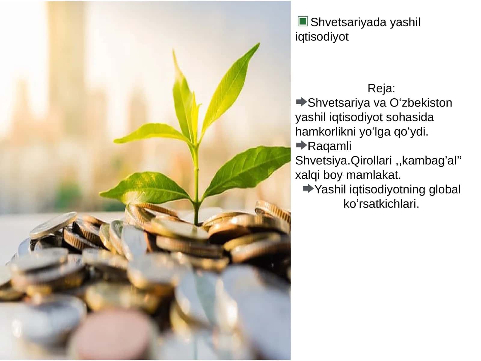 Shvetsariyada yashil iqtisodiyot 1