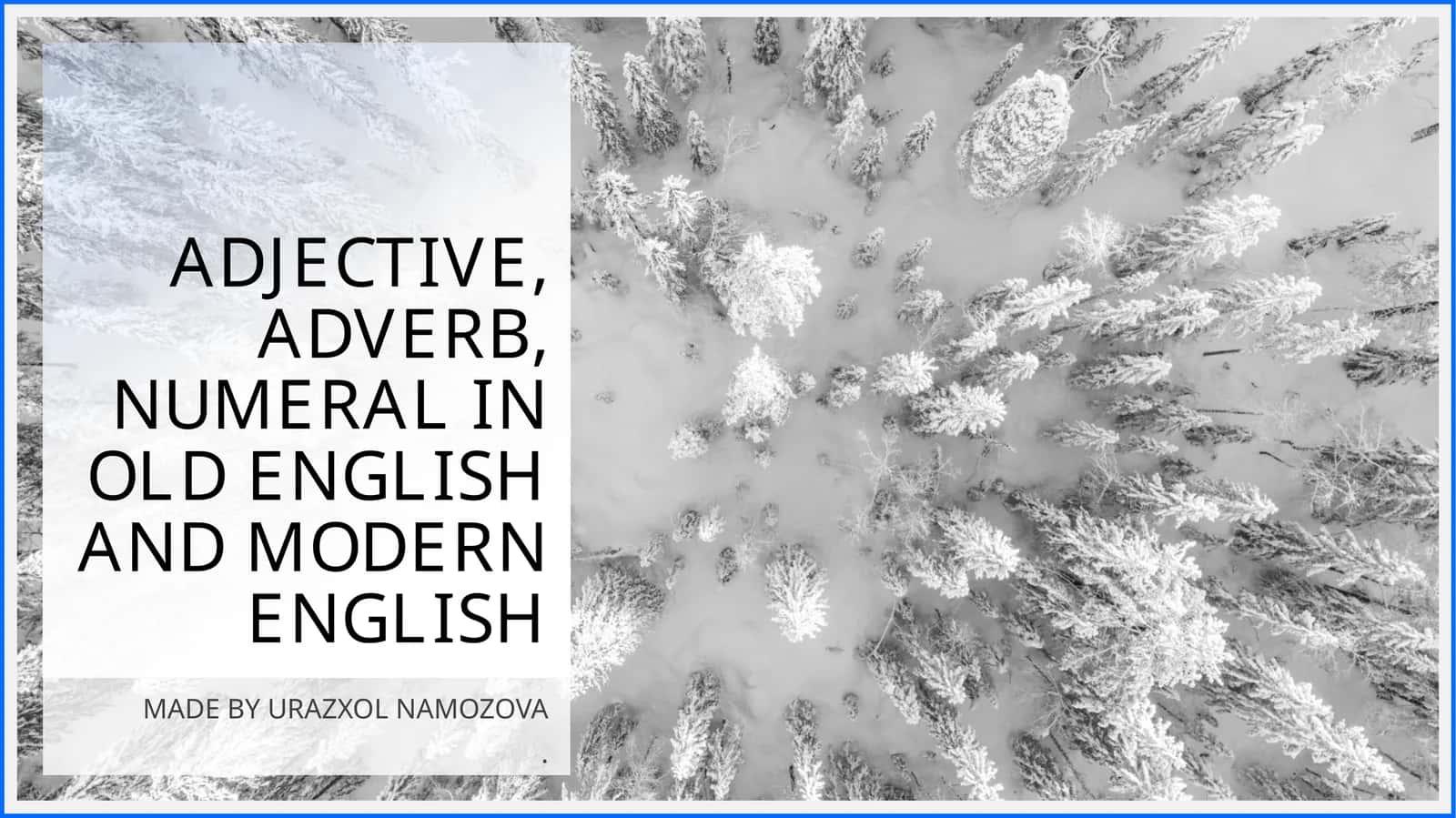 Adjective, adverb, numeral in old English 1