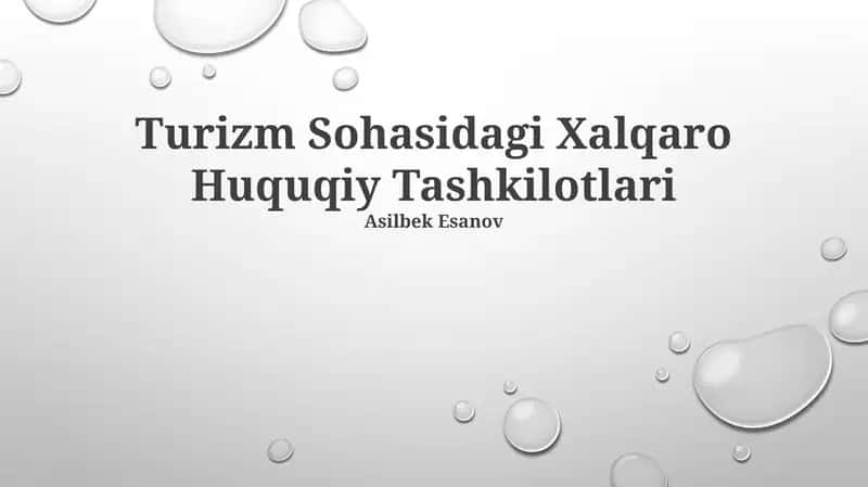 Turizm Sohasidagi Xalqaro Huquqiy Tashkilotlari 1