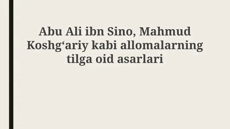 Abu Ali ibn Sino, Mahmud Koshgʻariyning tilga oid asarlari 1