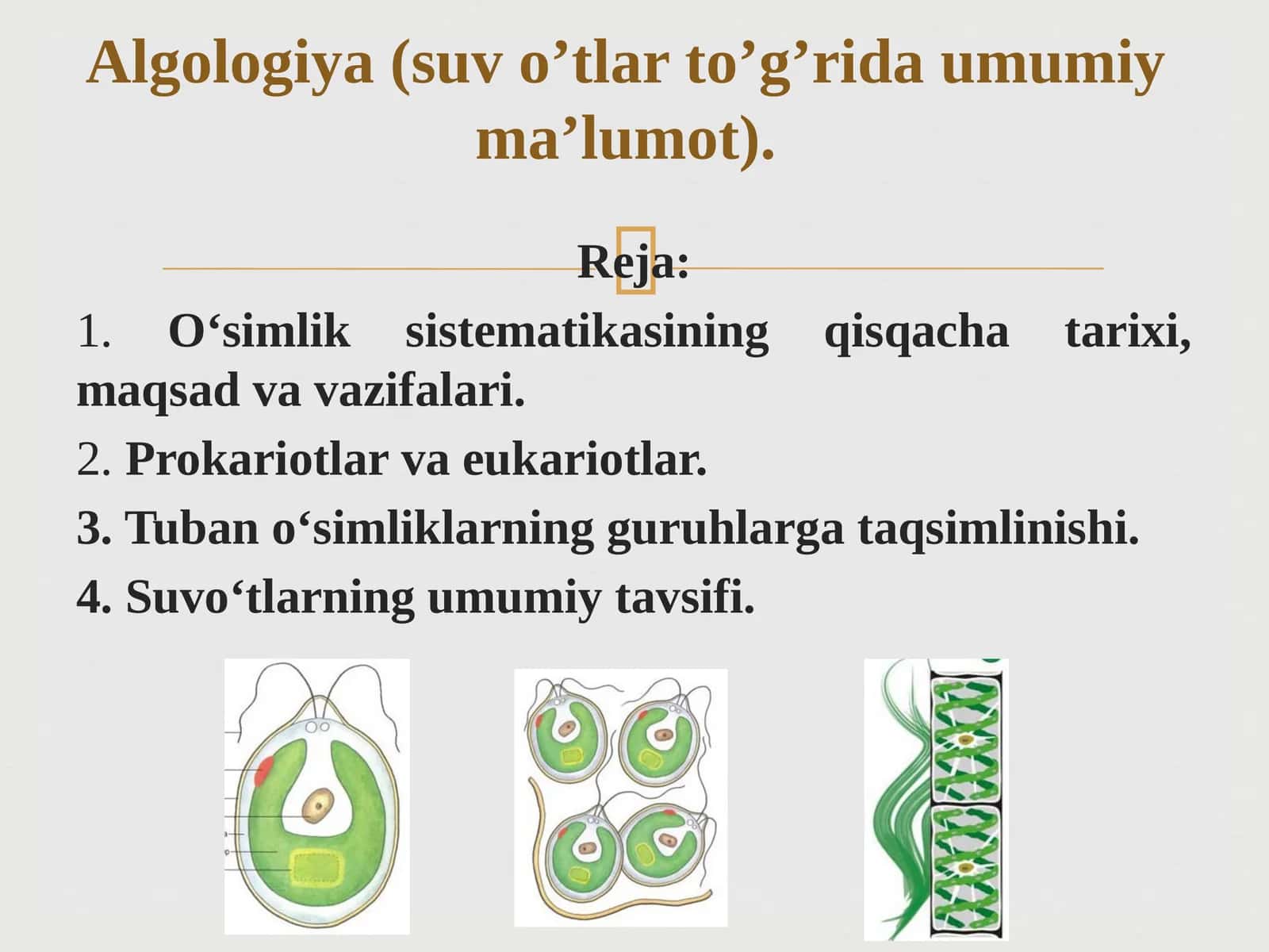 Algologiya(suvo’tlarto’g’ridaumumiyma’lumot) 1