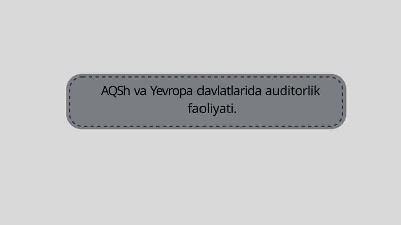 AQSh va Yevropa davlatlarida auditorlik 1