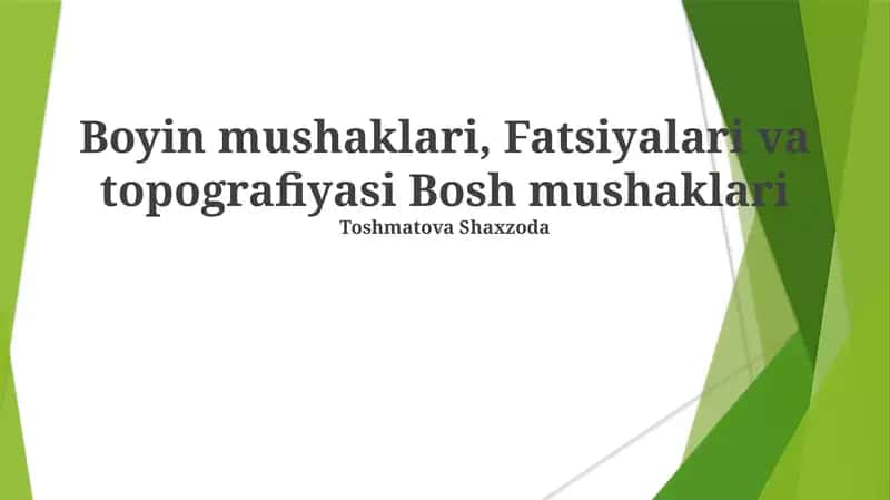 Boyin mushaklari, Fatsiyalari va topografiyasi Bosh mushaklari 1