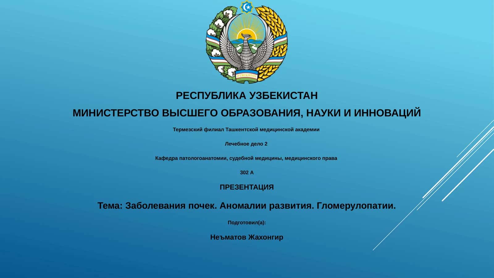 Лечебное дело 2 1