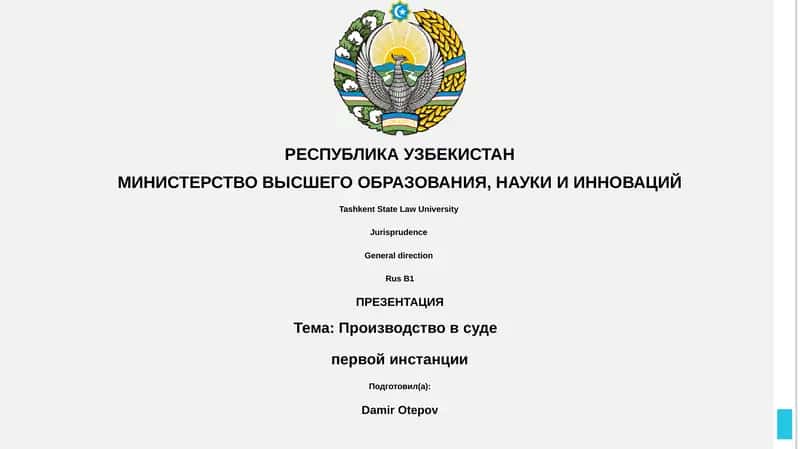 Производство в суде первой инстанции 1