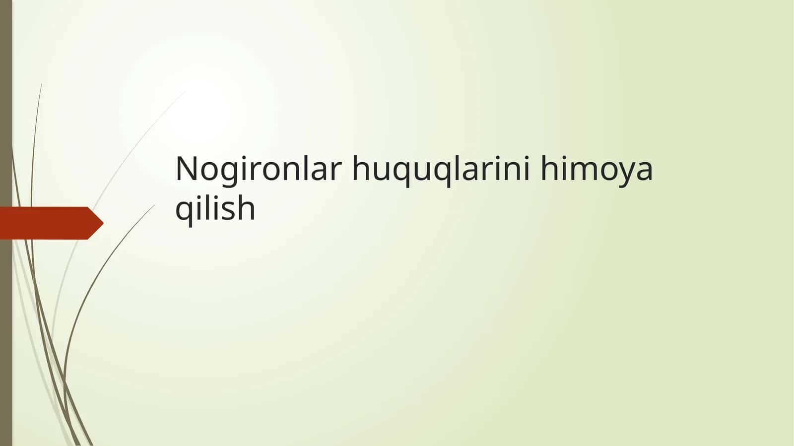 Nogironlar huquqlarini himoya qilish 1