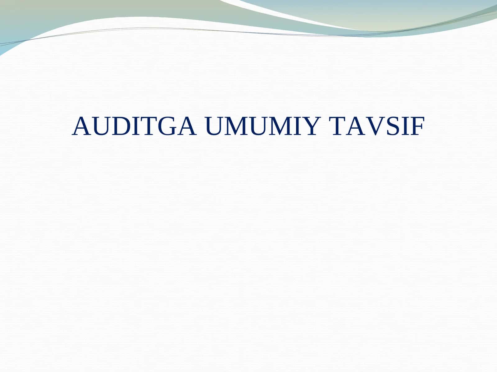 AUDITGA UMUMIY TAVSIF 1