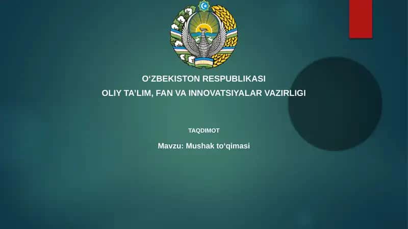 Mushakto‘qimasi 1