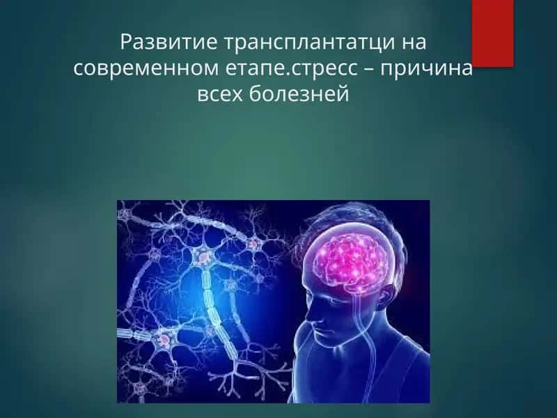 Развитие трансплантатци на современном етапе.стресс – причина всех болезней 1