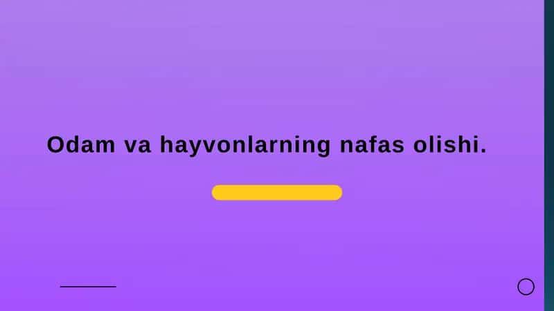 Odamvahayvonlarning nafas olishi 1