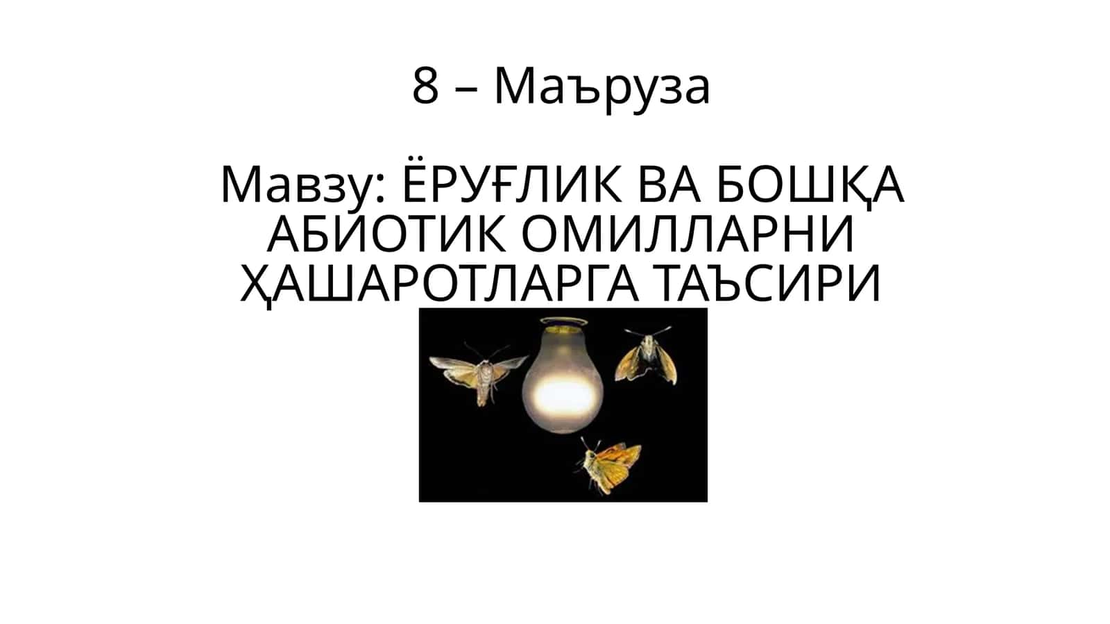 ЁРУҒЛИК ВА БОШҚА АБИОТИК ОМИЛЛАРНИ ҲАШАРОТЛАРГА ТАЪСИРИ 1