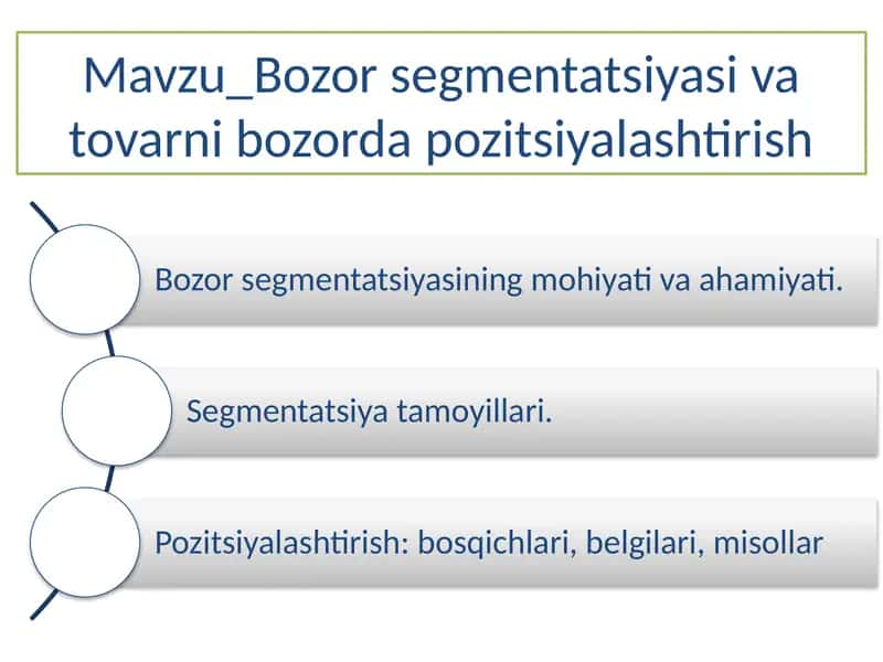 Bozorsegmentatsiyasi va tovarni bozorda pozitsiyalashtirish 1