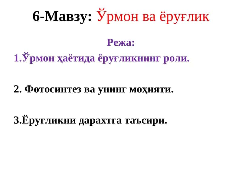 Ўрмон ва ёруғлик 1