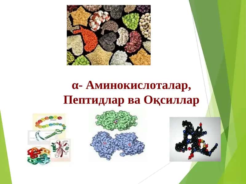 α- Аминокислоталар, Пептидлар ва Oқсиллар 1