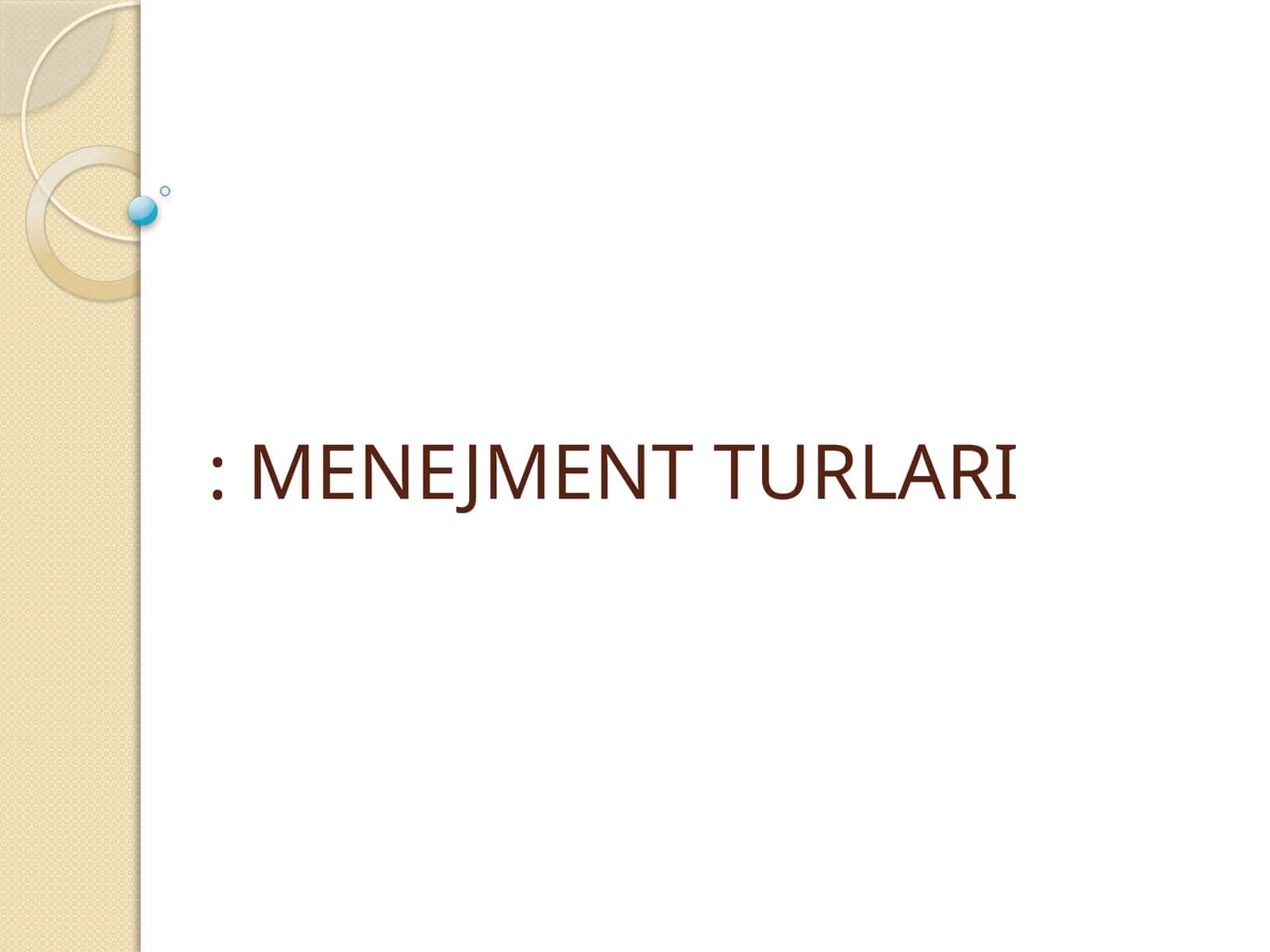 MENEJMENT TURLARI 1