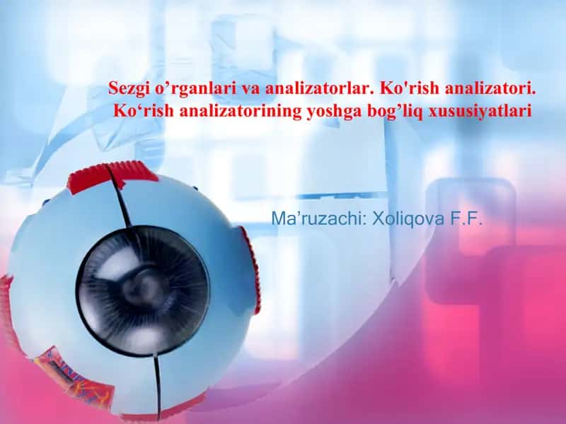 Sezgi o’rganlari va analizatorlar. Ko‘rish analizatori 1