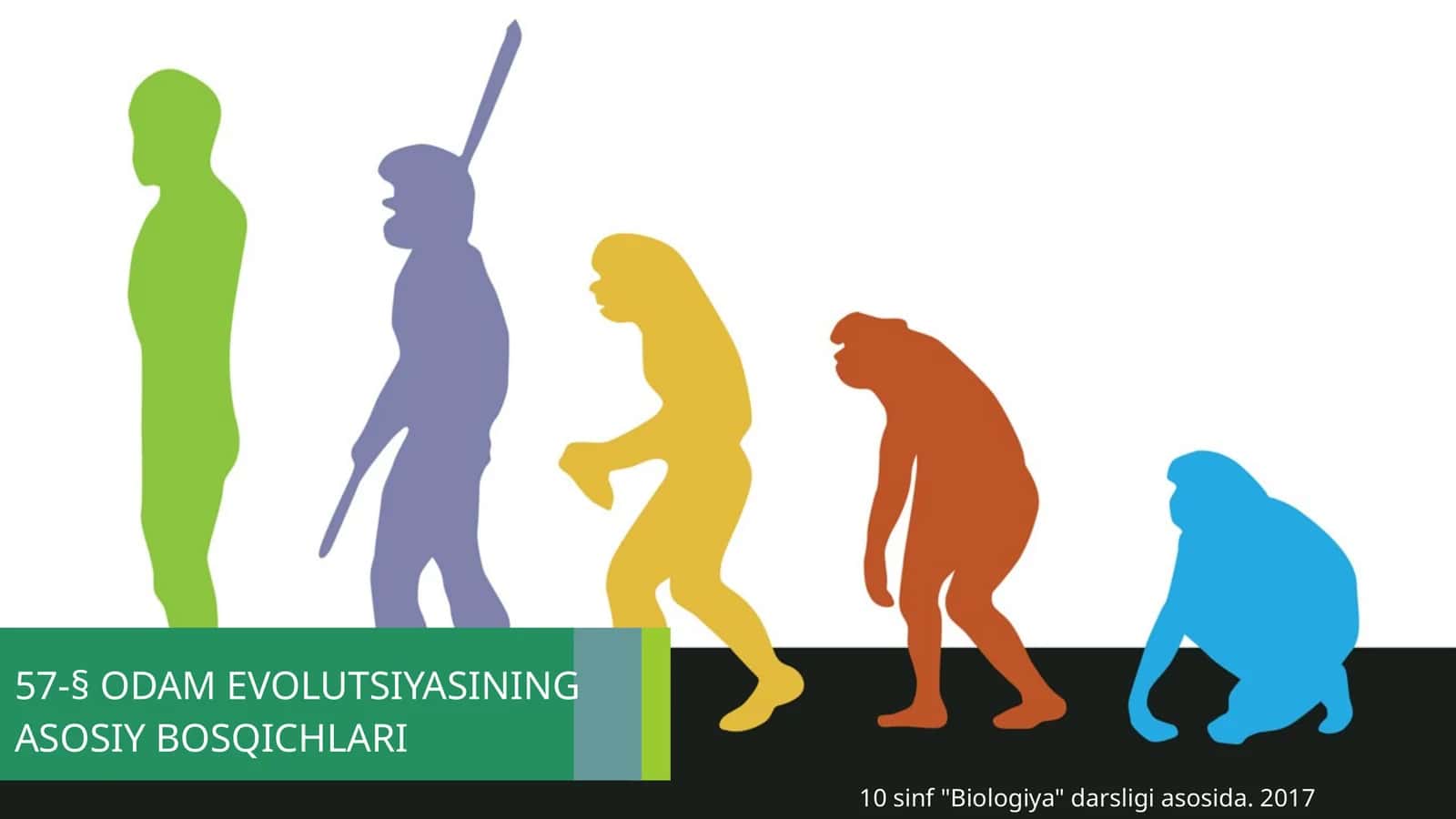 ODAM EVOLUTSIYASINING ASOSIY BOSQICHLARI 1