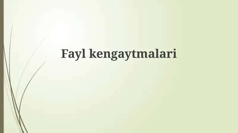 Faylkengaytmalari 1