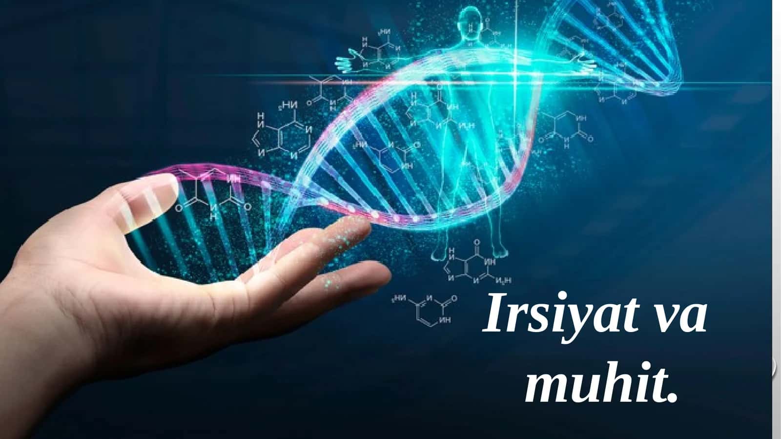 Irsiyatva muhit 1