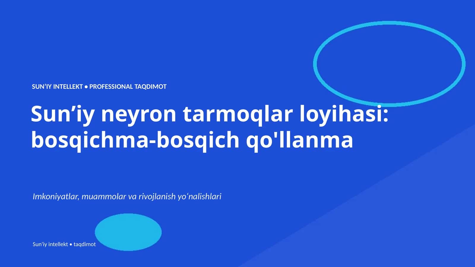 Sun’iy neyron tarmoqlar loyihasi: bosqichma-bosqich qo'llanma 1