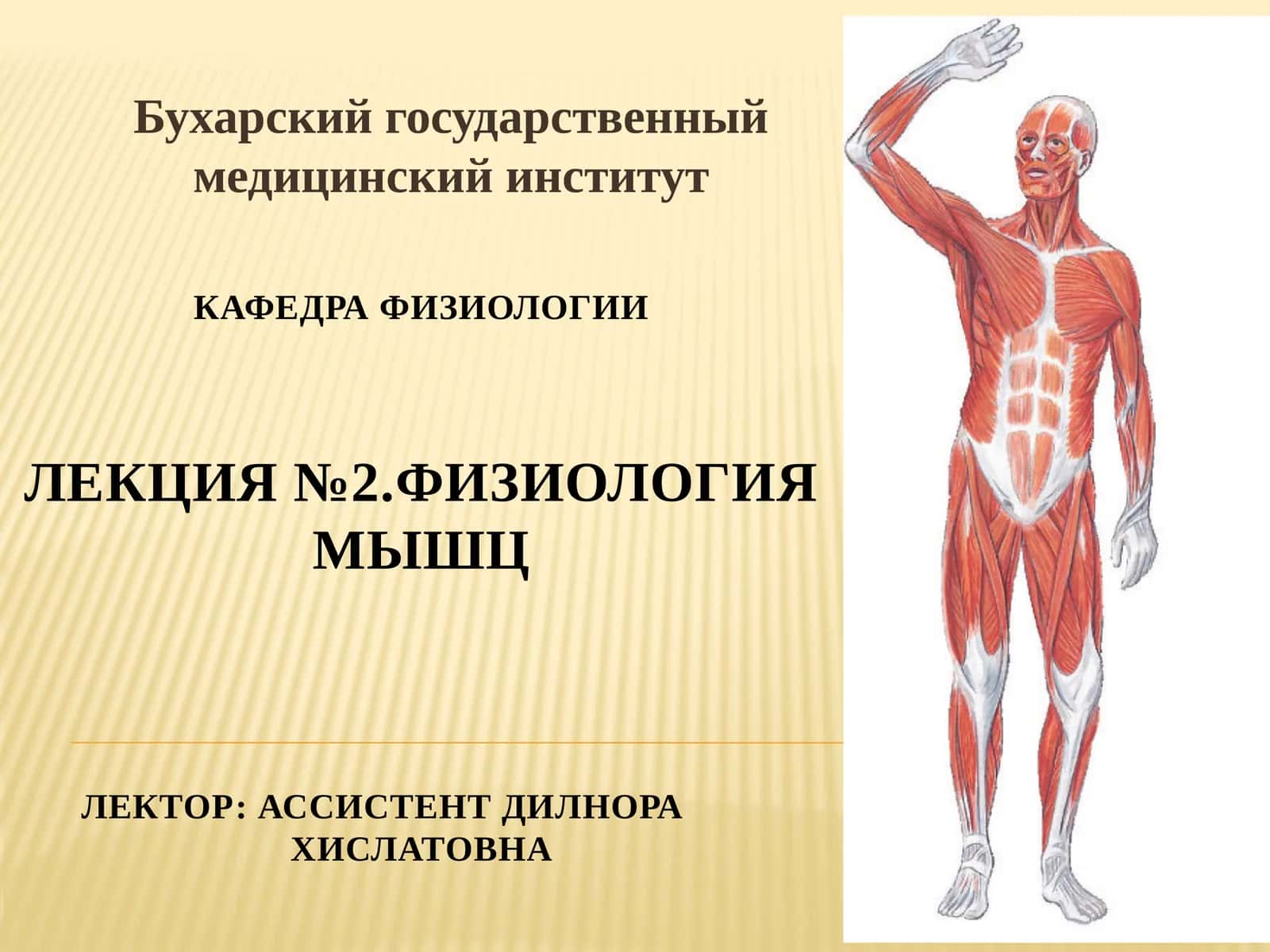 КафедрафиЗИологииЛекция №2.Физиология мышцЛЕКТОР: АССИСТЕНТдилнораХислатовна 1