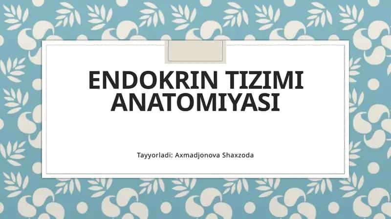 ENDOKRIN TIZIMI ANATOMIYASI 1