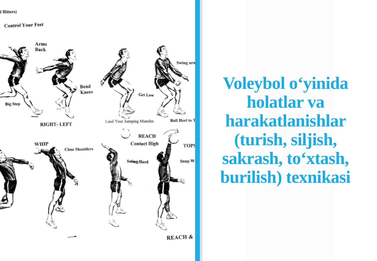 Voleybolo'yi na Voleybolda Asosiy Turish Holatlar va Harakatlanish Teknikasi 1