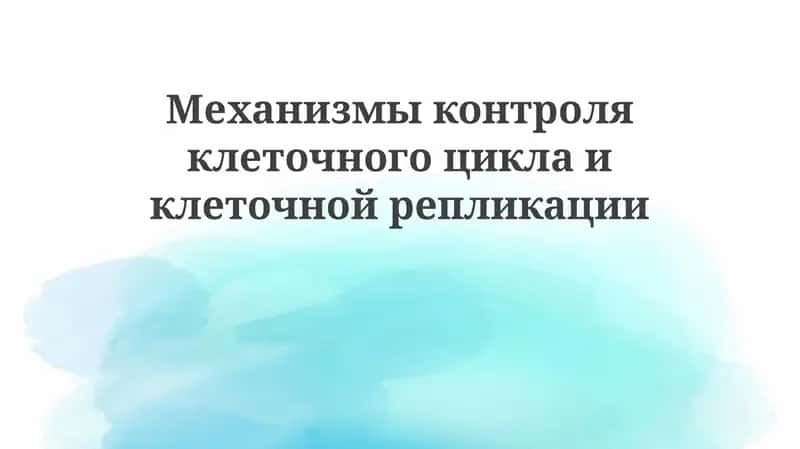 Механизмы контроля клеточного цикла и клеточной репликации 1