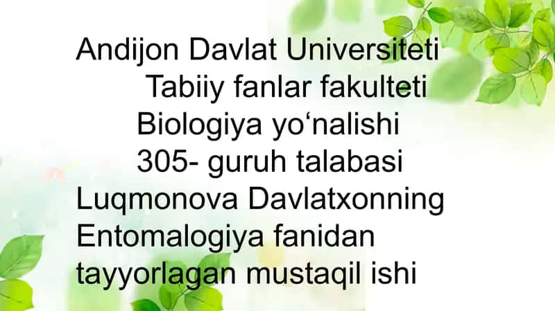 Suvaraklar va Beshiktebratarlar Turkumi 1