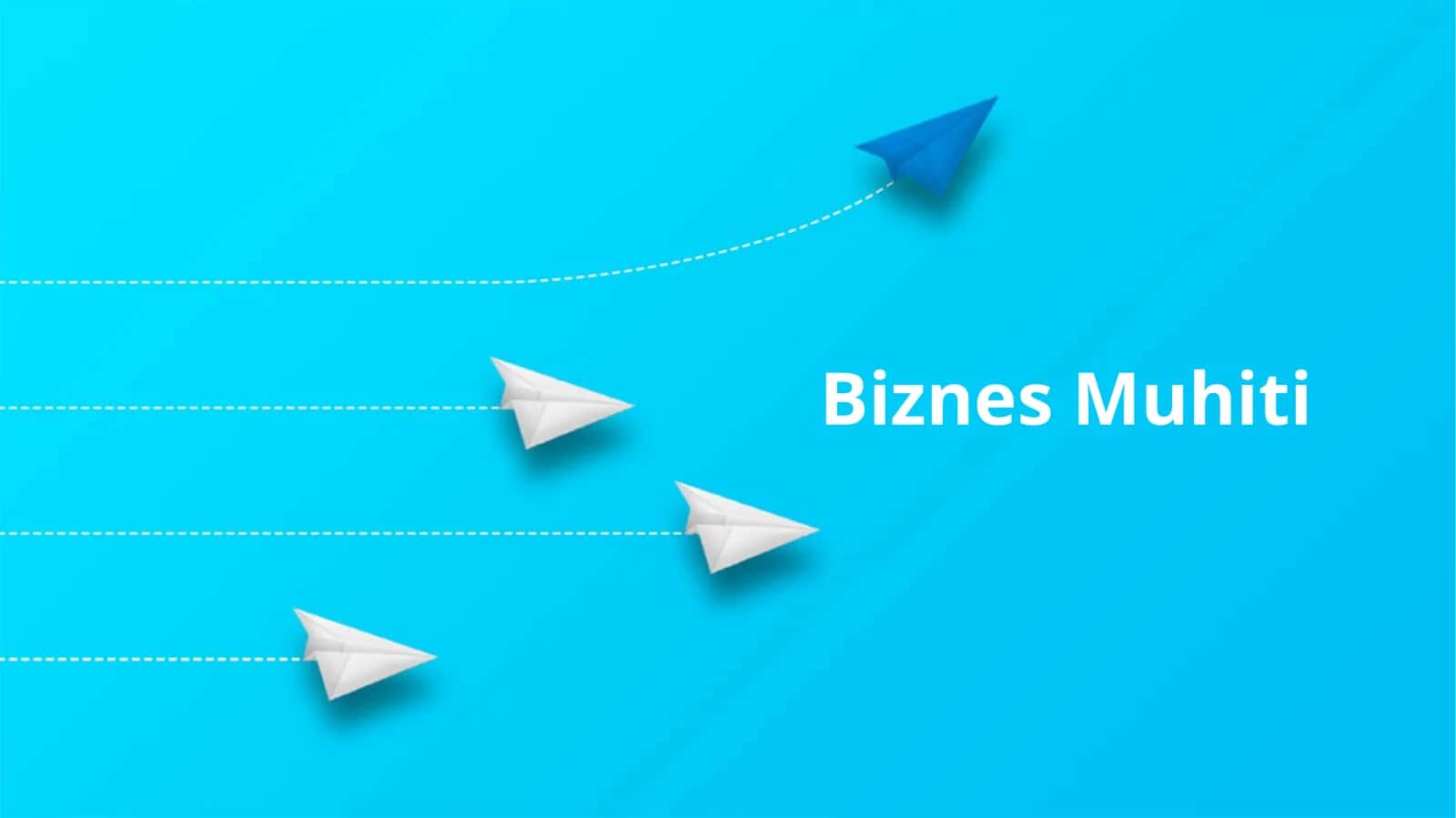 Biznes Muhiti 1