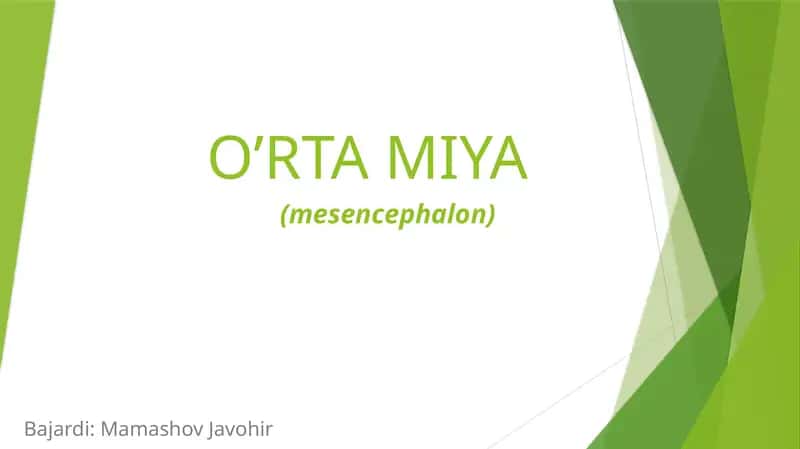 O’RTA MIYA 1