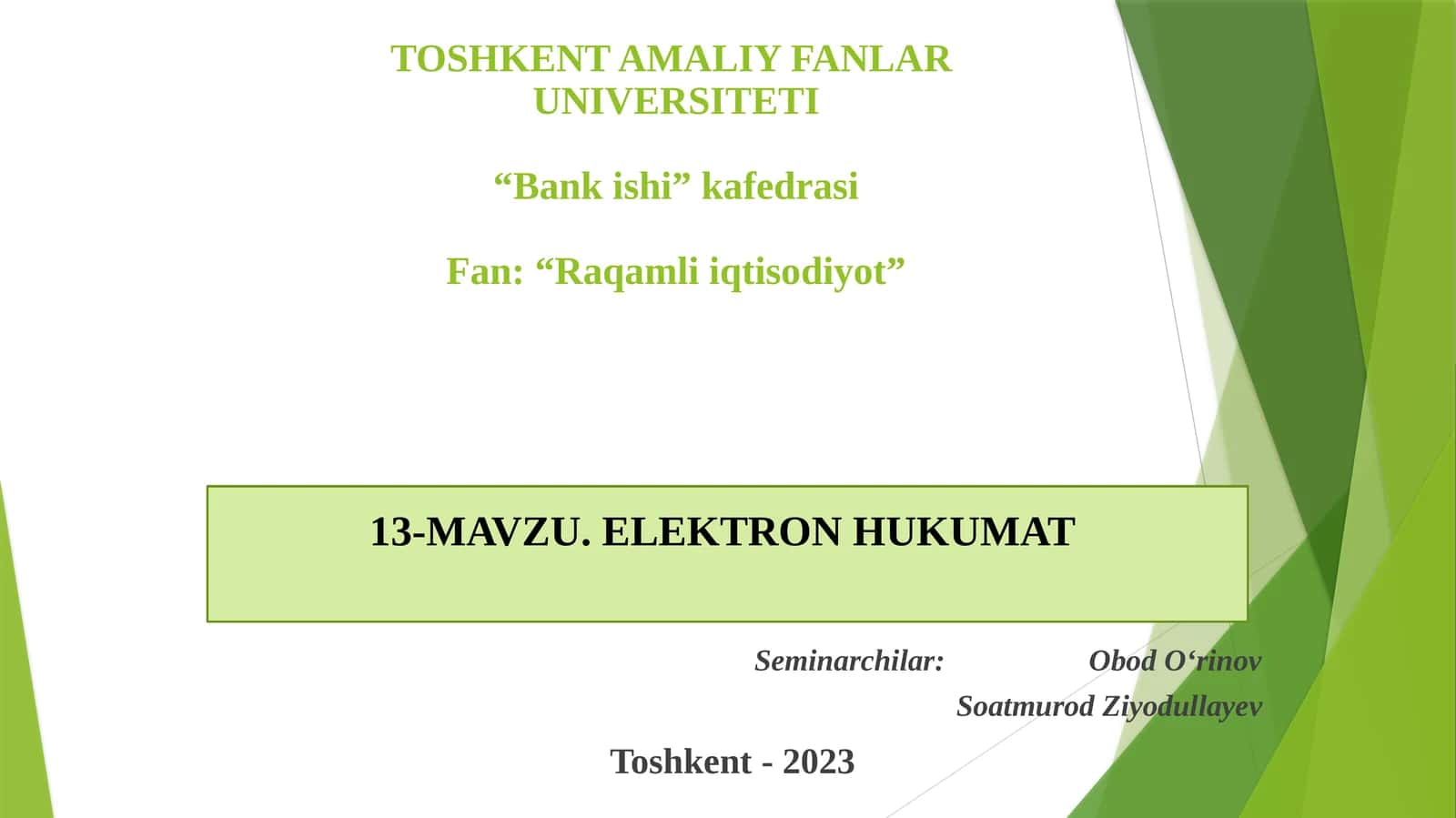 ELEKTRONHUKUMAT 1