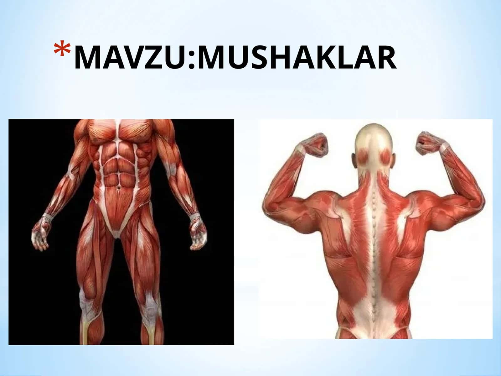 MUSHAKLAR 1