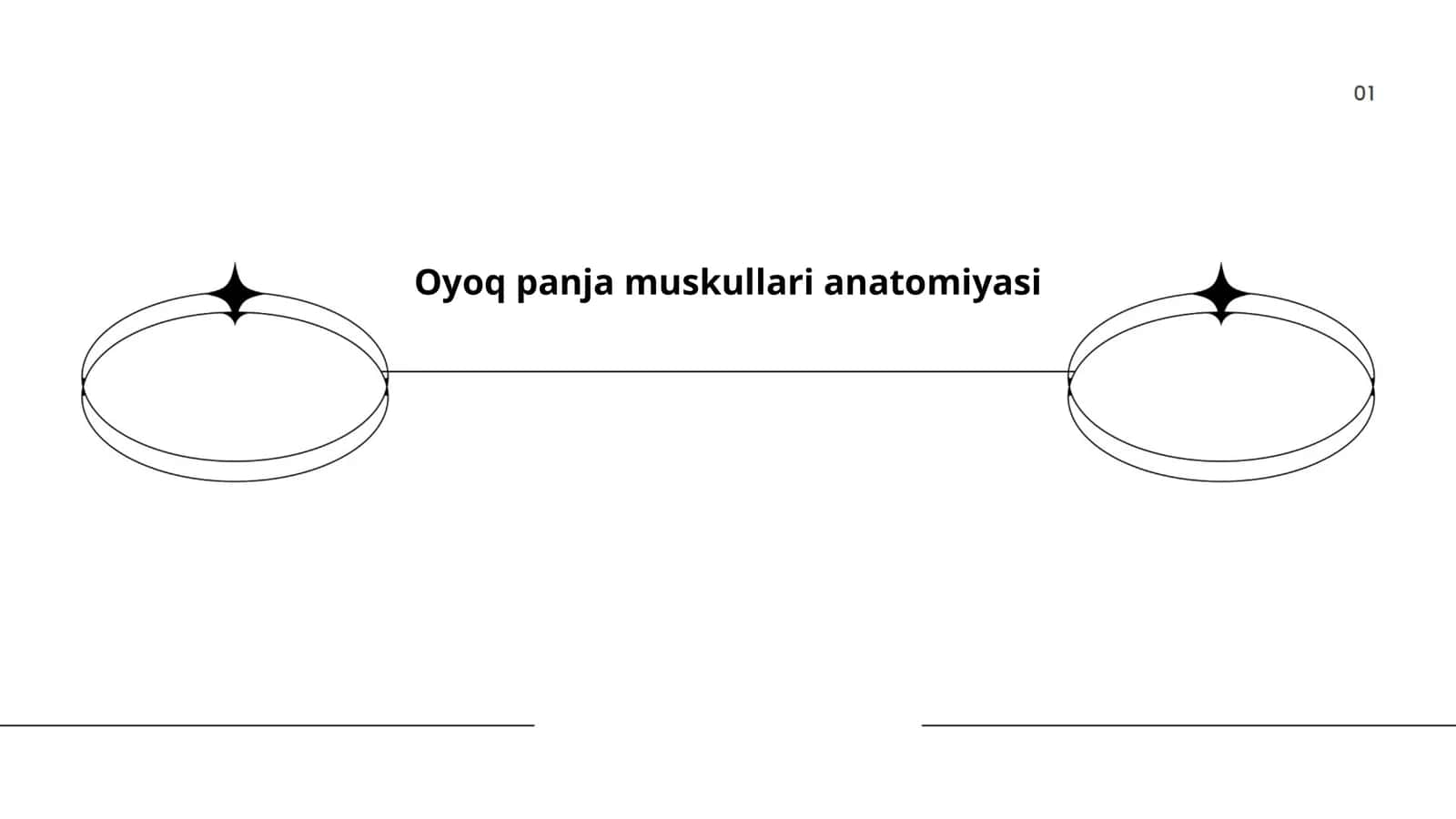 Oyoq panja muskullari anatomiyasi 1