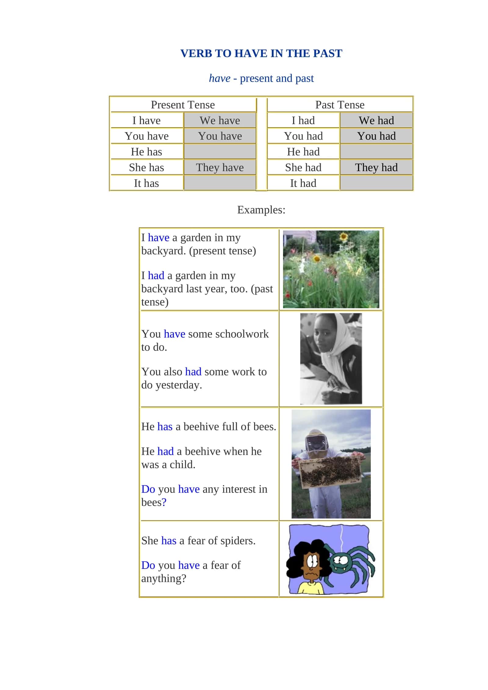 VERB TO HAVE IN THE PAST 1