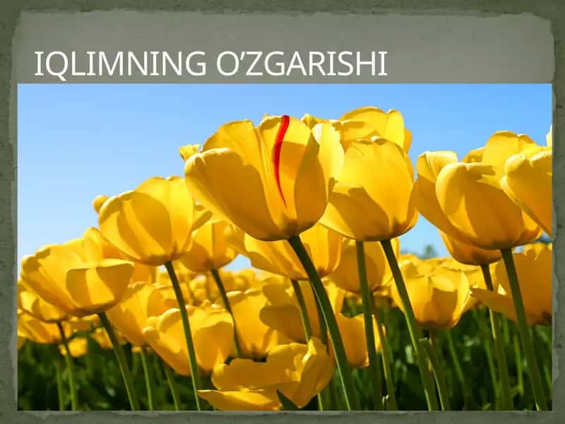 Иқлимнинг оʻzgarishi 1