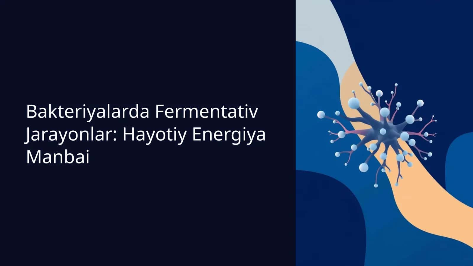 Bakteriyalarda Fermentativ Jarayonlar: Hayotiy Energiya Manbai 1